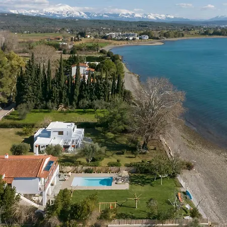 The Italian Evia Politika